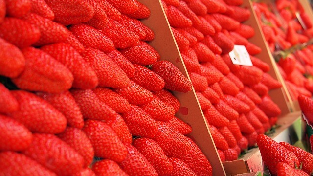 Erdbeeren sind lecker und gesund und fördern das abnehmen